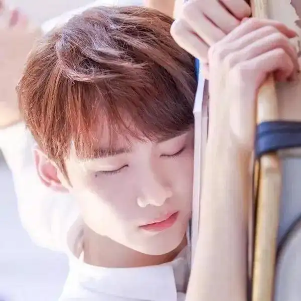 100张精心准备的头像,换上你就最靓的仔