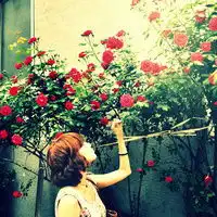 qq头像女生高贵意境情感女生头像