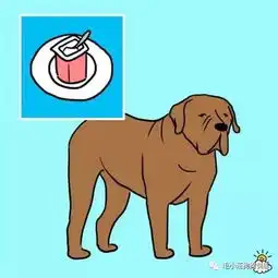 狗狗绝对不能吃人吃的食物,会死的谁告诉你的