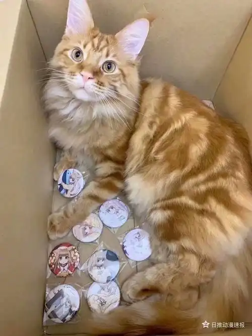 画师收藏馆猫猫拟人系列kinako酱by日本同人画师40原2021年3月20日