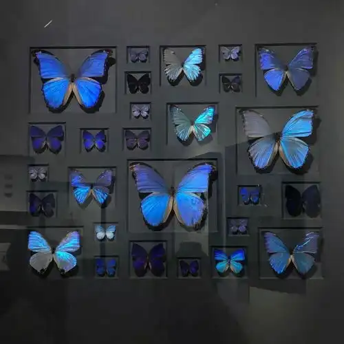 太阳不总是红色的散文写作是一件不太快乐的事