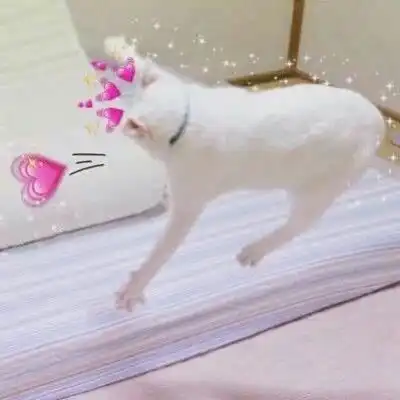 12句暗示我喜欢你的句子,句句撩动心弦女生第8句爱了