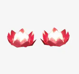 粉色荷花河灯图片素材图片免费下载高清装饰图案png千库网图片编号6679002