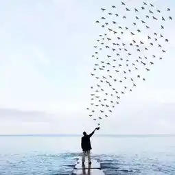 摄影单反相机镜头点评教你十招极简风格摄影技巧,意境美