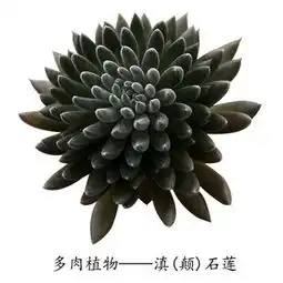 图片免费下载滇素材滇模板千图网