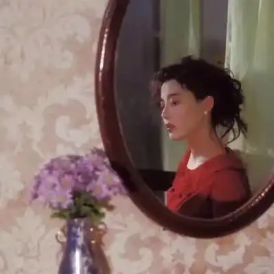 法丽兹的相册头像记录册