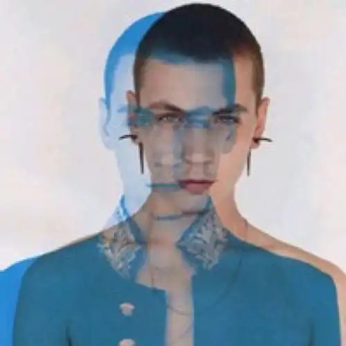 怎么能把一个正常图片做成这种效果这样的效果呈现有没有专有名词