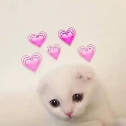 总要允许有人错过你,才能赶上最好的相遇