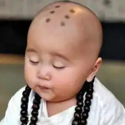 微信头像小和尚图片陈