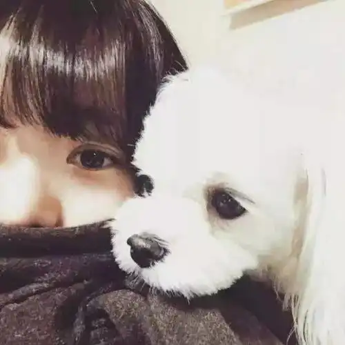 真想带你去见以前的我