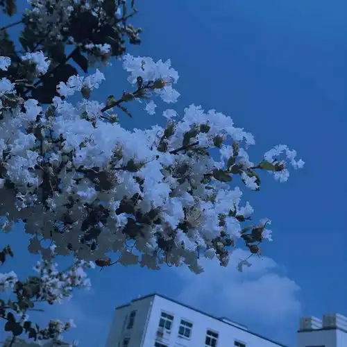 氛围感蓝色系中性头像主