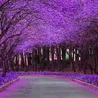 治愈系风景图片头像微信头像图片大全