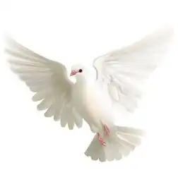 几个故事,颠覆你的思维方式