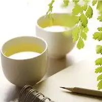 一杯清茶唯美头像图片微信头像图片大全