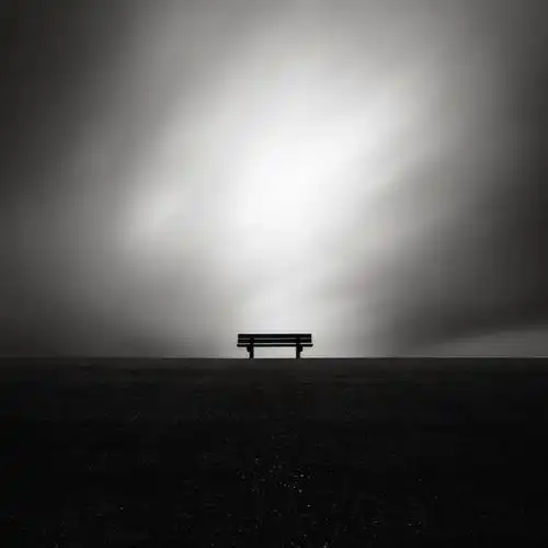 所罗门生活的16种终极意义