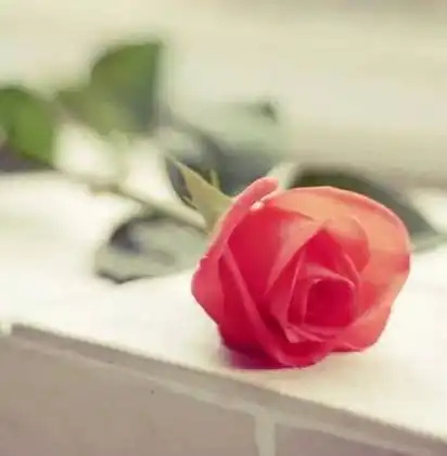 鸡汤迷丨女人要哄,男人要捧精辟