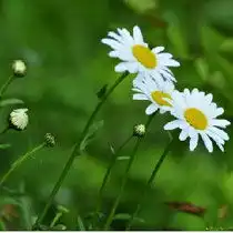 平平淡淡的空间