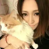 欧美系头像女抱猫qq个性