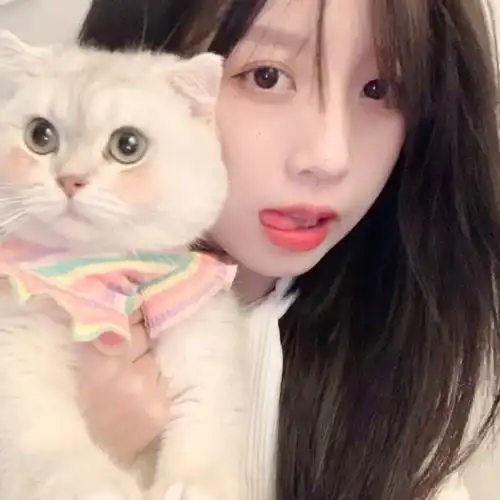 情侣头像对象不是人系列可爱猫咪