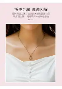 victoriahyde雅典娜系列项链个性时尚锁骨链ins配饰情侣送女友礼物