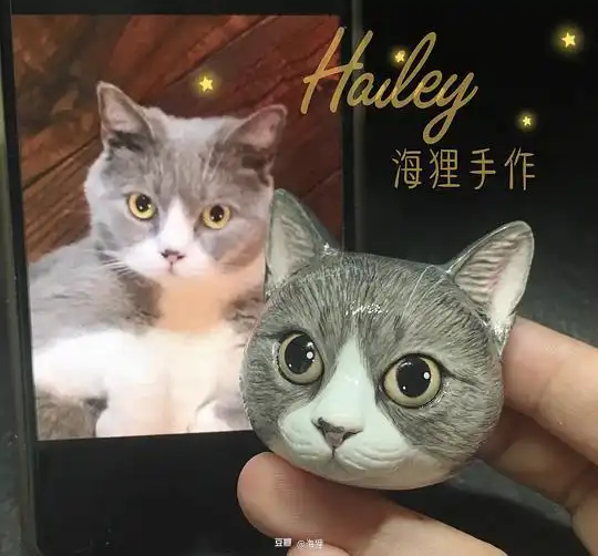 海狸的相册客定头像回顾