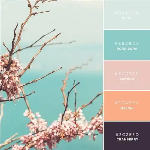 2020童装图案趋势