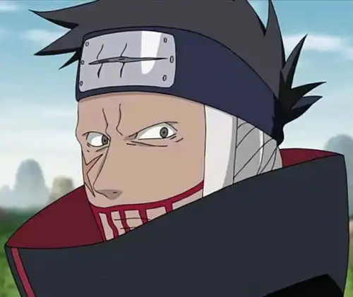 自制忍者枇杷十藏