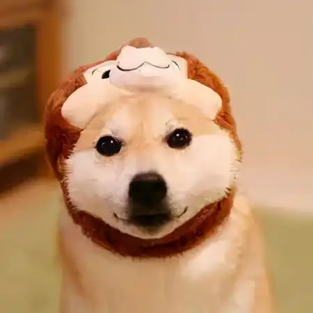 硅谷有钱人撕逼实录