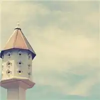 谁给我一个头像