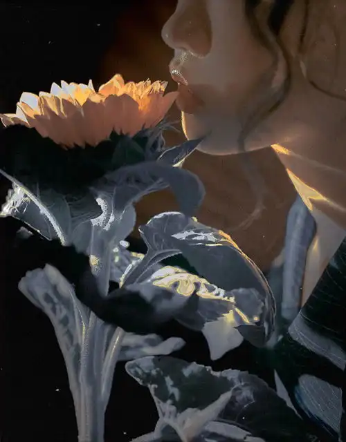 头像ins高级质感治愈系