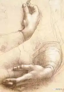 达芬奇素描作品赏析