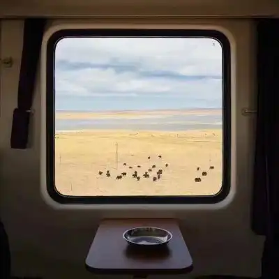 成年人治愈系图片唯美图片我要个性网