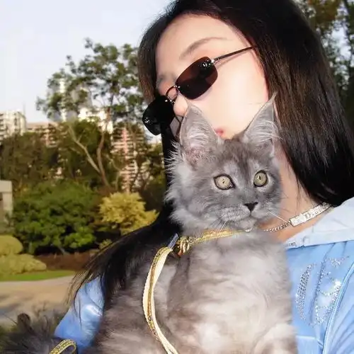 偷偷告诉你清爽女头夕阳总会落在你身上你也会快乐一场