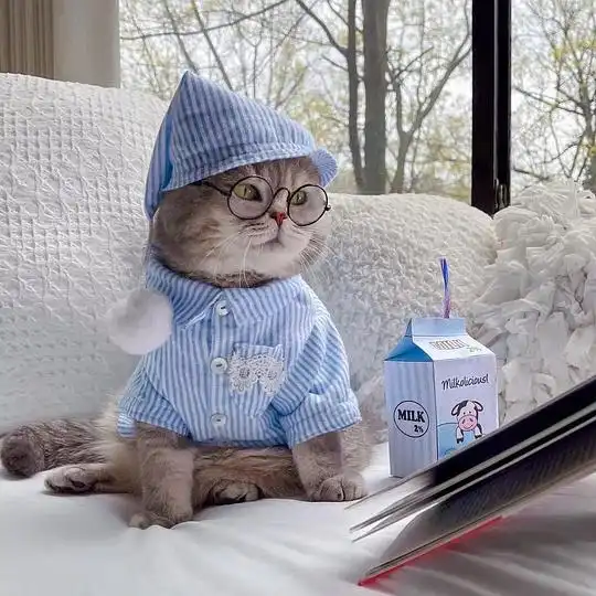 袁有天的相册可可爱爱暖人心