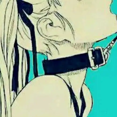 求这张图的原图