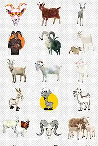 可爱卡通山羊图片png免抠素材