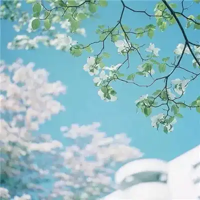 2023蓝天白云唯美图片