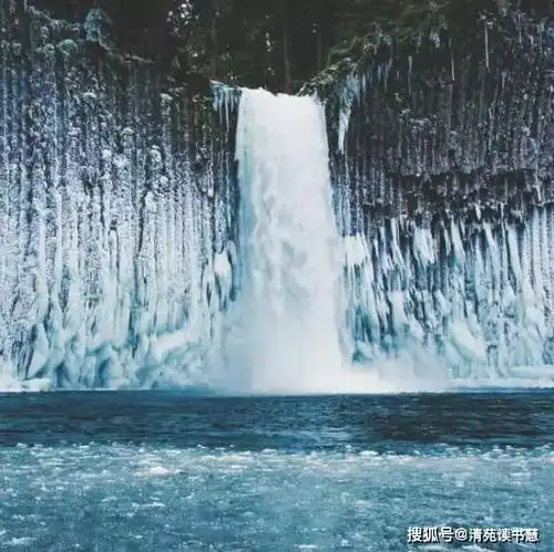 你若无情,不会有错