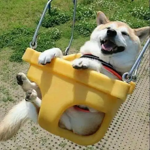 100张超好看的情侣头像甜甜甜到心窝进来拿图