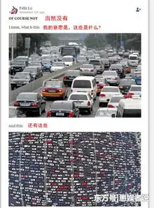 竟有老外问中国有汽车吗简直可笑我家出门靠骑胖达的你造吗