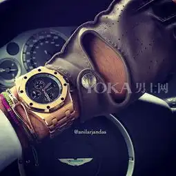 欧美土豪的正确打开方式anilarjandas的生活