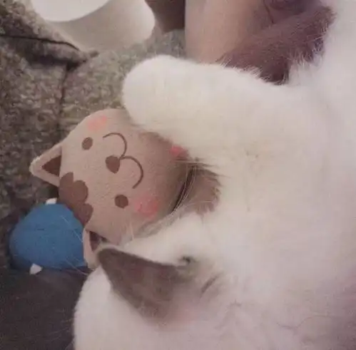 今日头像推荐,1225