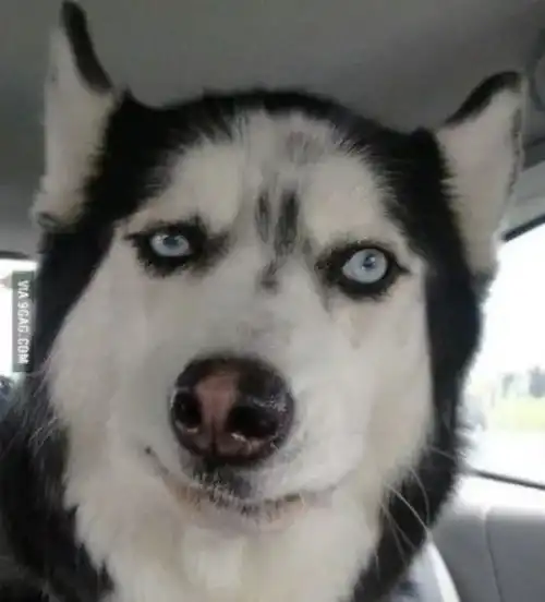 库里退役吧你们老板在运作西蒙斯去勇士......