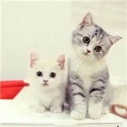 微信头像男微信头像女微信头像大全