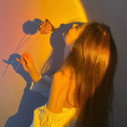 落日女头小众文案