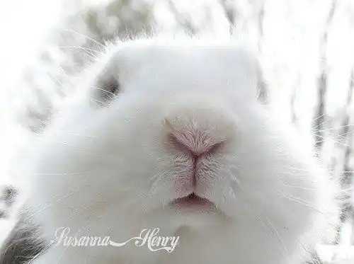苗条小熊的相册我最爱滴治愈系