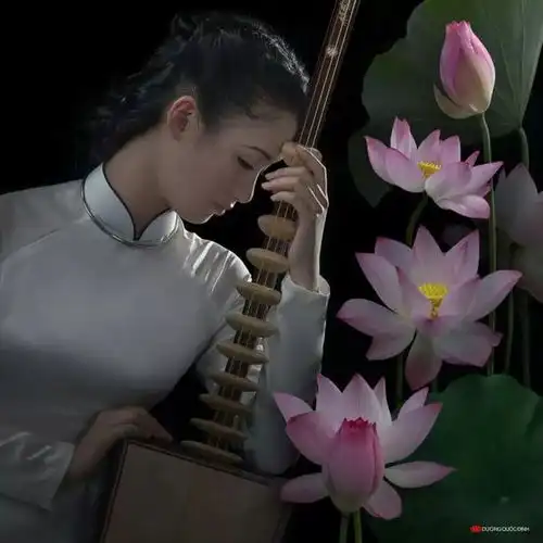 越南摄影师镜头中的画意美女