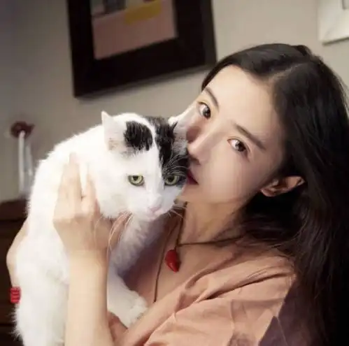 憋在心底的那七年的所有现在终于可以成为过去了