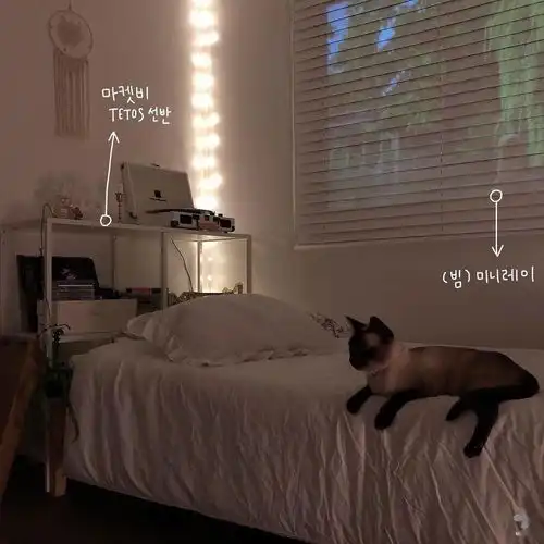 喜欢这些治愈系的背景图