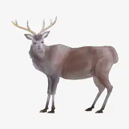 卡通手绘中国风水彩黑鹿免抠png图片素材其他格式下载动漫人物大全